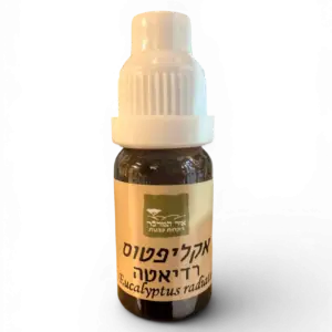 שמן אתרי אקליפטוס רדיאטה 10 מ"ל (Eucalyptus radiata) – Eucalyptus Radiata Essential Oil 10 ML