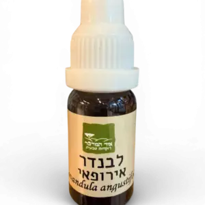 שמן אתרי לבנדר 10 מ"ל (Lavandula angustifolia) – Lavender Essential Oil 10 ML